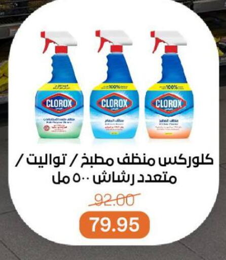تنظيف in بيت الجملة, Egypt Offers - Egypt كلوركس منظف عام available at بيت الجملة in Egypt - القاهرة