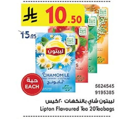 ليبتون أكياس شاي available at بن داود in مملكة العربية السعودية, السعودية, سعودية - خميس مشيط