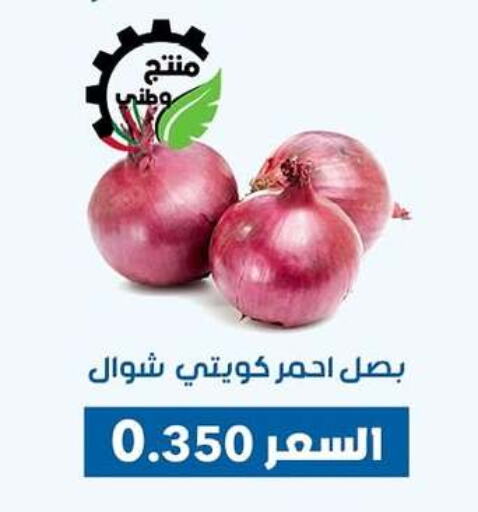 Onion available at Dahiyat Abdullah Al Salem and Mansourieh Cooperative Society in Kuwait - Ahmadi Governorate