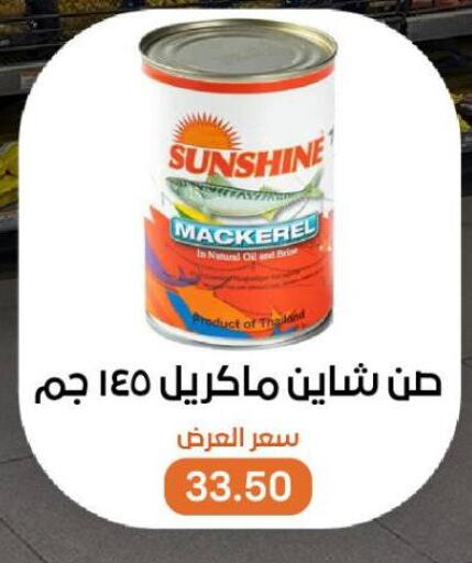 Canned & Packeted in Beit El Gomla, Egypt Offers - Egypt available at Beit El Gomla in Egypt - Cairo