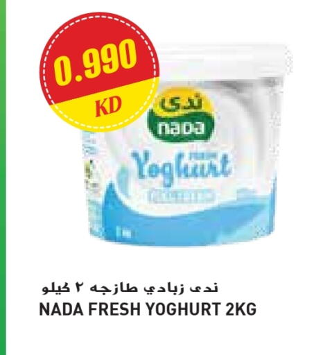 Yogurt & Labneh in Grand Costo, Kuwait Offers - Kuwait NADA Yoghurt available at Grand Costo in Kuwait - Ahmadi Governorate