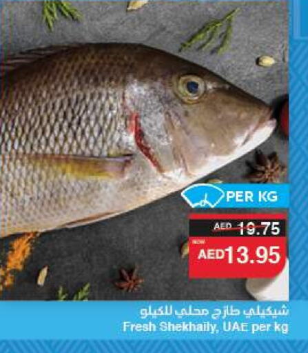 الأسماك الطازجة in سبار هايبرماركت, UAE Offers - الإمارات العربية المتحدة available at سبار هايبرماركت in الإمارات العربية المتحدة , الامارات - الشارقة / عجمان