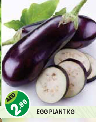 available at Baniyas Spike  in UAE - Abu Dhabi
