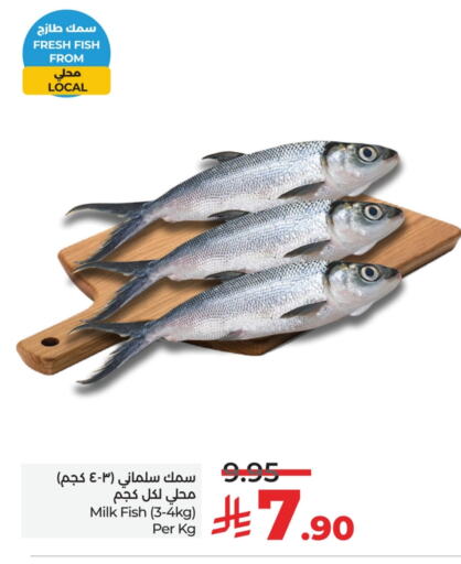 الأسماك الطازجة in لولو هايبرماركت, المملكة العربية السعودية Offers - المملكة العربية السعودية available at لولو هايبرماركت in مملكة العربية السعودية, السعودية, سعودية - حفر الباطن