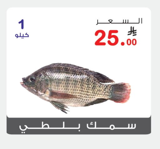 Fresh Fish in Al Rasheed Markets, Saudi Arabia Offers - Saudi Arabia available at Al Rasheed Markets in KSA, Saudi Arabia, Saudi - Riyadh
