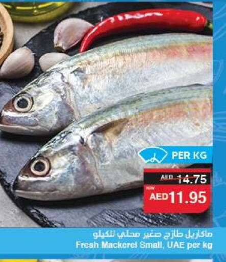 الأسماك الطازجة in سبار هايبرماركت, UAE Offers - الإمارات العربية المتحدة available at سبار هايبرماركت in الإمارات العربية المتحدة , الامارات - الشارقة / عجمان