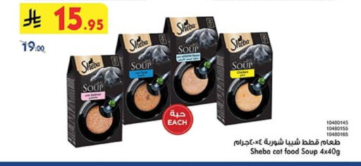 Pets in Bin Dawood, Saudi Arabia Offers - Saudi Arabia available at Bin Dawood in KSA, Saudi Arabia, Saudi - Ta'if
