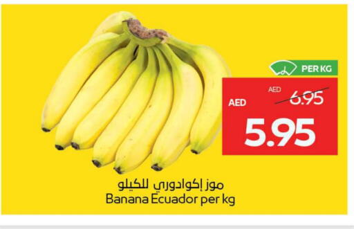 Banana from Ecuador available at ADCOOP in UAE - Abu Dhabi