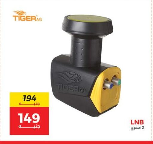 available at Raneen in Egypt - Cairo
