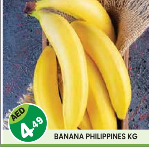 Banana from Philippines available at Baniyas Spike  in UAE - Abu Dhabi