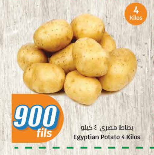 Potato from Egypt available at City Hypermarket in Kuwait - Kuwait City