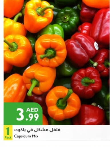 Chilli / Capsicum available at Istanbul Supermarket in UAE - Al Ain