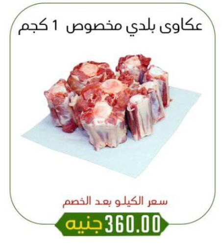 اللحوم الطازجة والمبردة in خان الحسين, Egypt Offers - Egypt available at خان الحسين in Egypt - القاهرة
