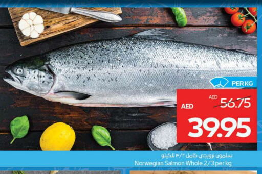 available at ADCOOP in UAE - Abu Dhabi