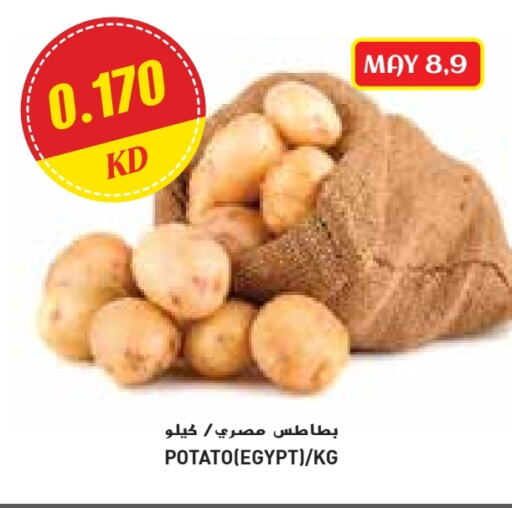 Potato from Egypt available at Grand Costo in Kuwait - Kuwait City
