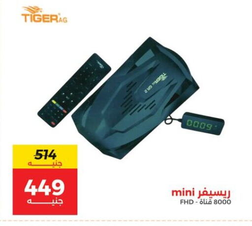available at Raneen in Egypt - Cairo