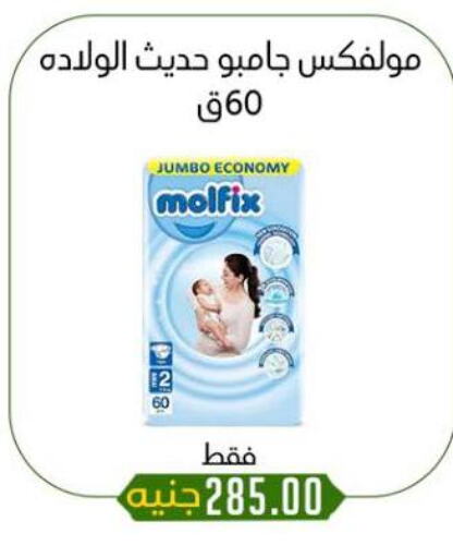 حفاضات أطفال in خان الحسين, Egypt Offers - Egypt بيبيم ناتشورال available at خان الحسين in Egypt - القاهرة