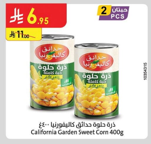 Canned & Packeted in Danube, Saudi Arabia Offers - Saudi Arabia CALIFORNIA GARDEN available at Danube in KSA, Saudi Arabia, Saudi - Hail