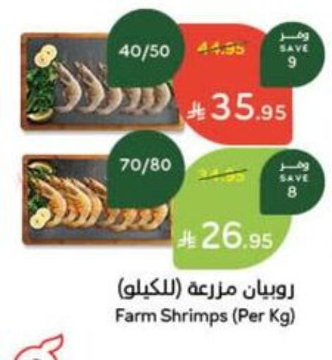 الأسماك الطازجة in هايبر بنده, المملكة العربية السعودية Offers - المملكة العربية السعودية available at هايبر بنده in مملكة العربية السعودية, السعودية, سعودية - حفر الباطن