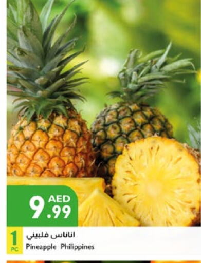 Pineapple from Philippines available at Istanbul Supermarket in UAE - Abu Dhabi