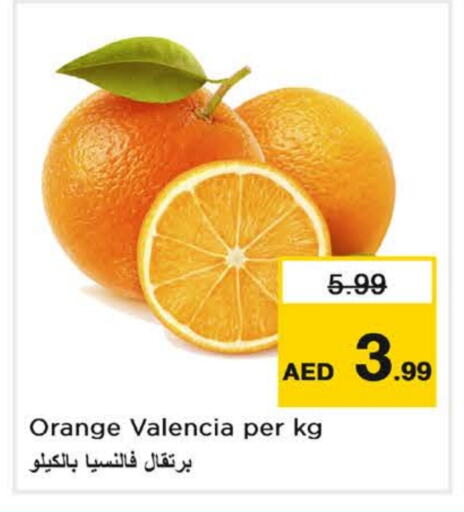 برتقال available at لاست تشانس in الإمارات العربية المتحدة , الامارات - ٱلْفُجَيْرَة‎