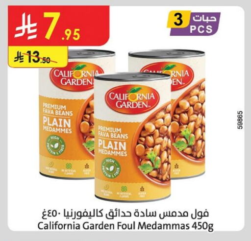 CALIFORNIA GARDEN Fava Beans available at Danube in KSA, Saudi Arabia, Saudi - Tabuk