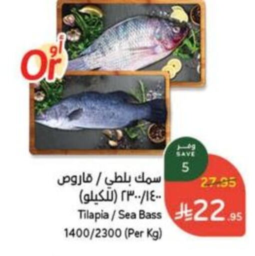 الأسماك الطازجة in هايبر بنده, المملكة العربية السعودية Offers - المملكة العربية السعودية available at هايبر بنده in مملكة العربية السعودية, السعودية, سعودية - حفر الباطن