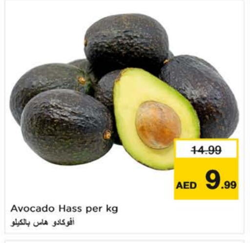 أفوكادو available at نستو هايبرماركت in الإمارات العربية المتحدة , الامارات - ٱلْفُجَيْرَة‎