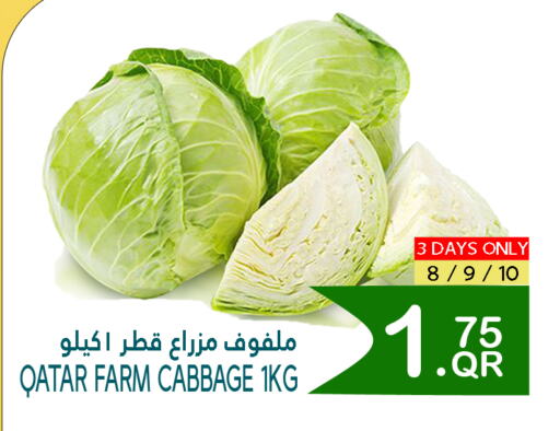 الخضروات الطازجة in قصر الأغذية هايبرماركت, قطر Offers - قطر كرنب from Qatar available at قصر الأغذية هايبرماركت in قطر - الخور