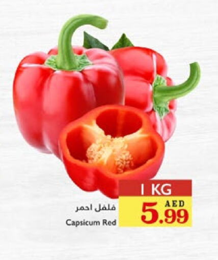 فلفل / فليفلة available at تروليز سوبرماركت in الإمارات العربية المتحدة , الامارات - الشارقة / عجمان