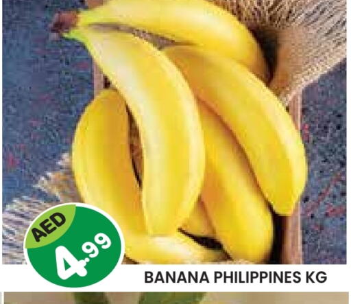 Banana from Philippines available at Baniyas Spike  in UAE - Al Ain