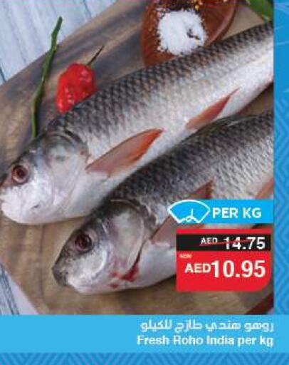 الأسماك الطازجة in سبار هايبرماركت, UAE Offers - الإمارات العربية المتحدة available at سبار هايبرماركت in الإمارات العربية المتحدة , الامارات - الشارقة / عجمان