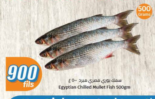available at City Hypermarket in Kuwait - Ahmadi Governorate