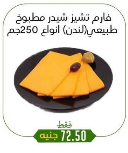 جبنة و كريم in خان الحسين, Egypt Offers - Egypt جبنة الشيدر available at خان الحسين in Egypt - القاهرة