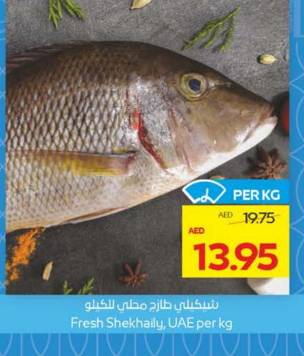 Fresh Fish in Megamart Supermarket , UAE Offers - United Arab Emirates available at Megamart Supermarket in UAE - Sharjah / Ajman