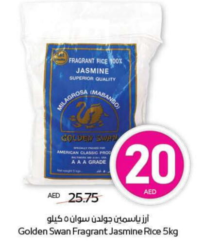 AMERICAN CLASSIC Jasmine Rice available at ADCOOP in UAE - Ras al Khaimah