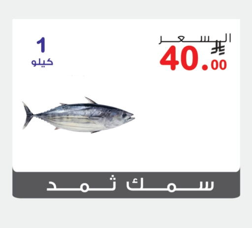 Fresh Fish in Al Rasheed Markets, Saudi Arabia Offers - Saudi Arabia available at Al Rasheed Markets in KSA, Saudi Arabia, Saudi - Riyadh