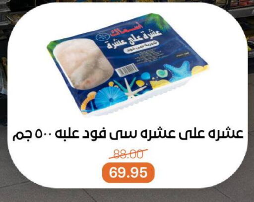 سمك مجمد in بيت الجملة, Egypt Offers - Egypt available at بيت الجملة in Egypt - القاهرة
