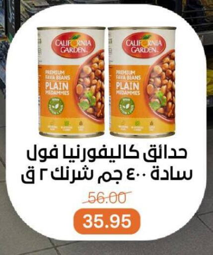 CALIFORNIA GARDEN Fava Beans available at Beit El Gomla in Egypt - Cairo