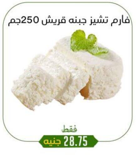 جبنة و كريم in خان الحسين, Egypt Offers - Egypt available at خان الحسين in Egypt - القاهرة