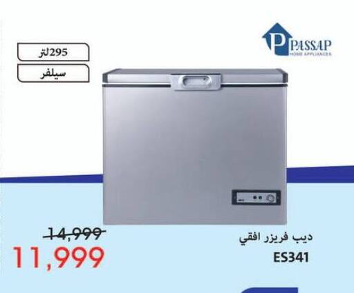 PASSAP Freezer available at Abdul Aziz Store in Egypt - Cairo
