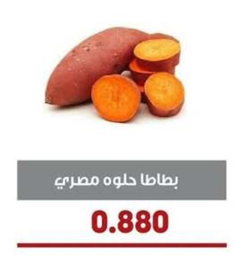 Sweet Potato available at Al- Surra Cooperative Society in Kuwait - Kuwait City