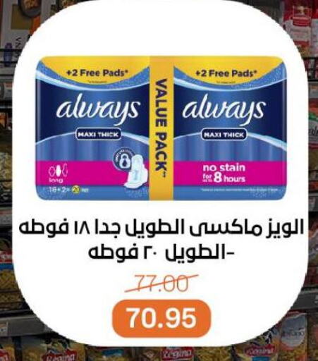 ألويز available at بيت الجملة in Egypt - القاهرة