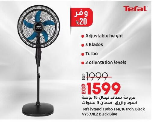 TEFAL Fan available at Lulu Hypermarket  in Egypt
