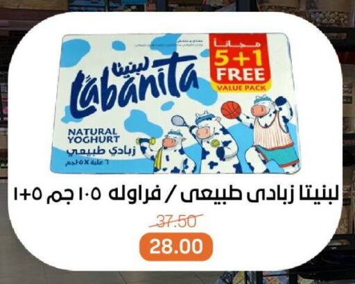 زبادي available at بيت الجملة in Egypt - القاهرة