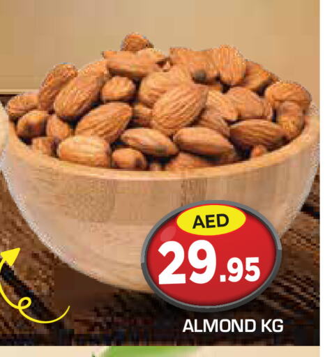 available at سنابل بني ياس in الإمارات العربية المتحدة , الامارات - أبو ظبي