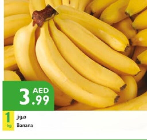 Banana available at Istanbul Supermarket in UAE - Al Ain