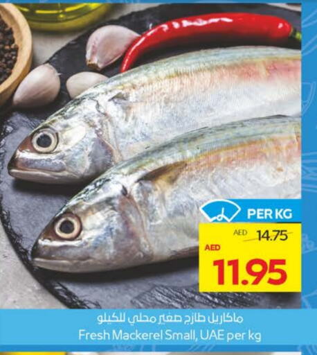 الأسماك الطازجة in ميغا مارت سوبر ماركت, UAE Offers - الإمارات العربية المتحدة available at ميغا مارت سوبر ماركت in الإمارات العربية المتحدة , الامارات - الشارقة / عجمان