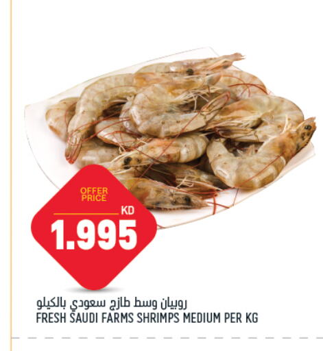 available at Gulfmart in Kuwait - Ahmadi Governorate