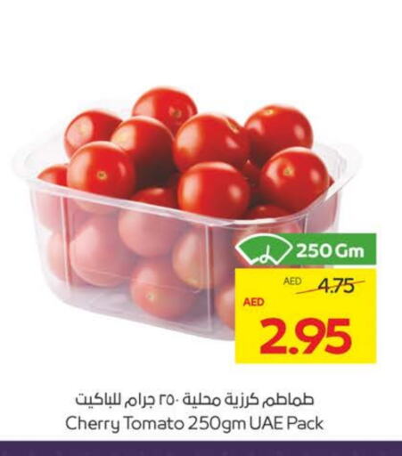 Fresh Fruits in Megamart Supermarket , UAE Offers - United Arab Emirates Tomato available at Megamart Supermarket in UAE - Sharjah / Ajman